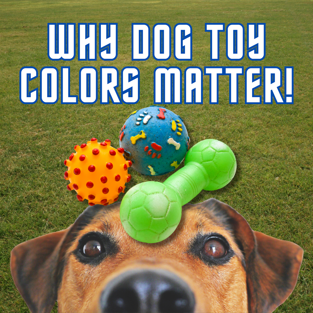 Why the Color of Your Dog’s Toy Matters: Insights on Dog Vision and Play