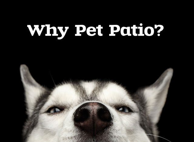 Why pet patio